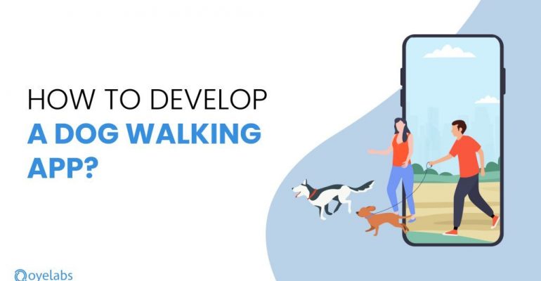 guide on how to create a dog walking app
