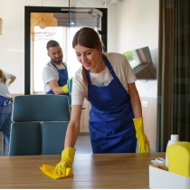 Cleaning Services