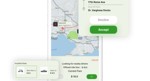 Indriver clone driver features
