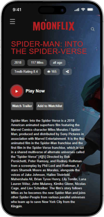 Netflix clone movie play now screen