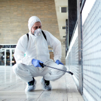 Pest control services