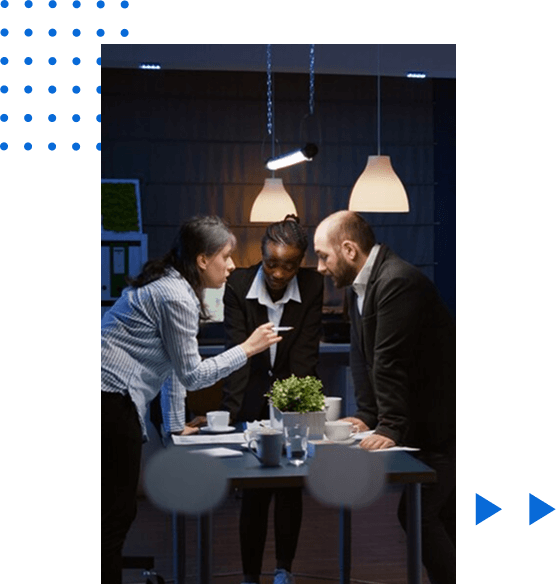 Solution Integration and Custom Development Partnerships