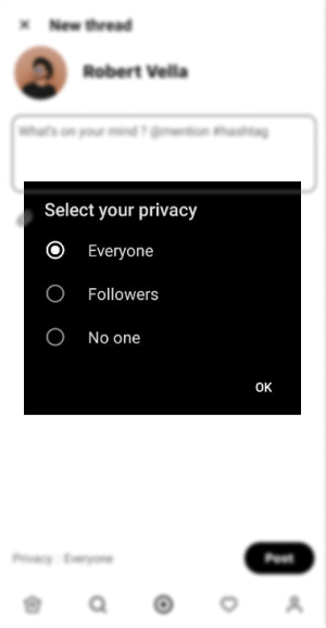 Threads clone post privacy screen