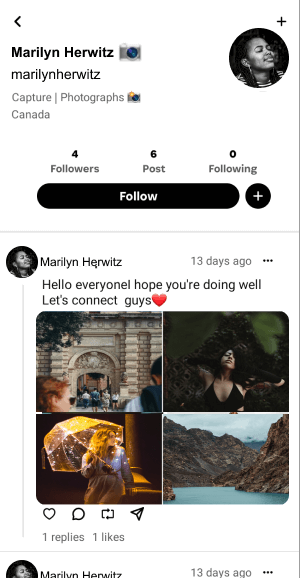 Threads clone view user profile screen